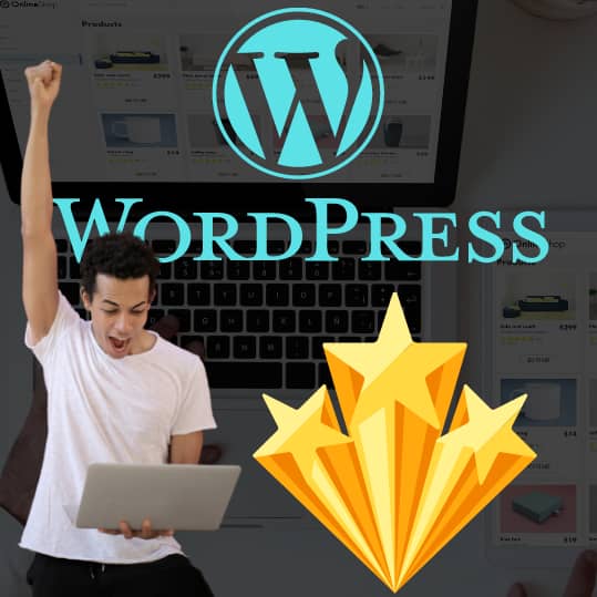 la mejor web para plugins y temas wordpress
