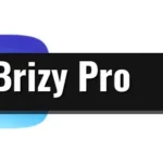 Brizy Pro