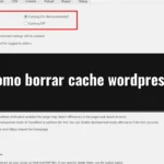 Como borrar cache wordpress